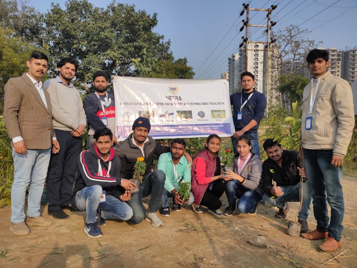 Environmental Day Tree Plantation