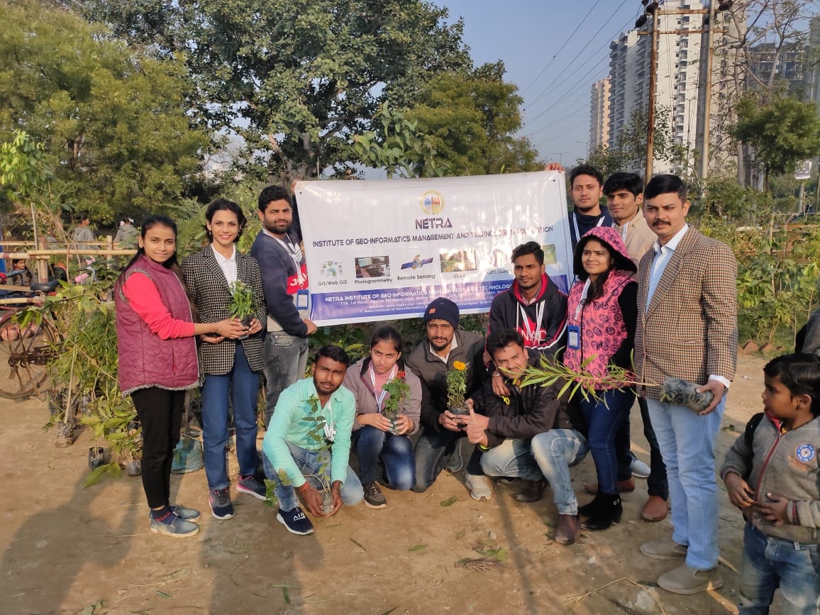 Environmental Day Tree Plantation