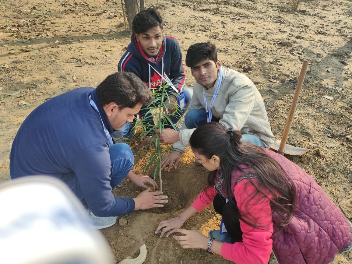 Environmental Day Tree Plantation