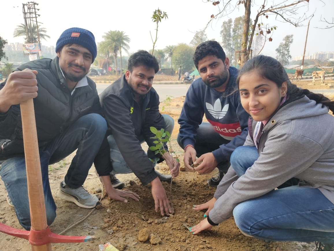 Environmental Day Tree Plantation