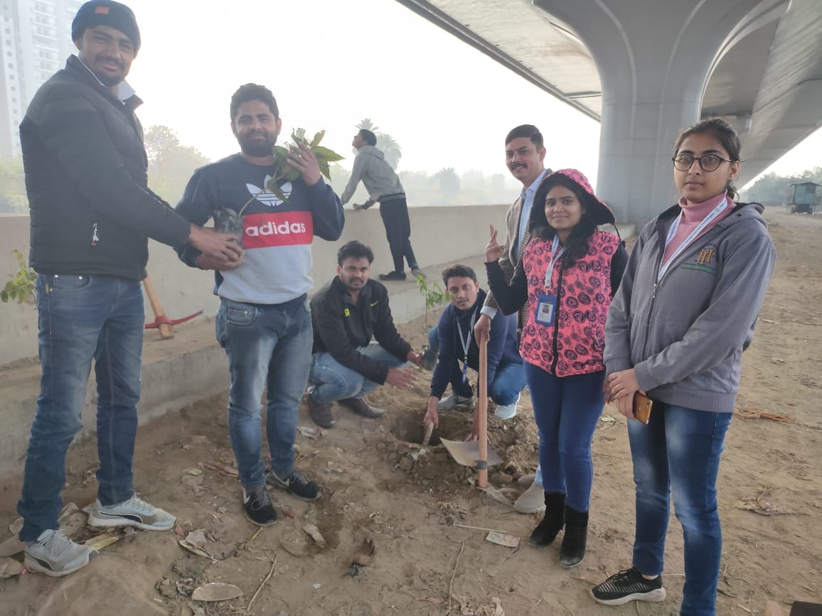 Environmental Day Tree Plantation
